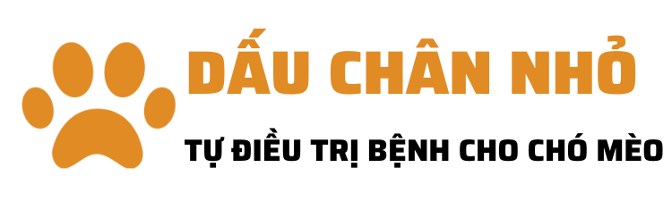 Ghế bệt tatami, ghế thư giãn, tựa lưng cho người già, người bệnh đau lưng, thoát vị, tai biến